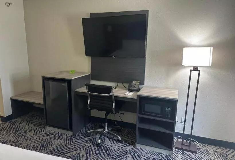 اتاق لوکس با تخت بزرگ, La Quinta Inn By Wyndham Omaha Southwest