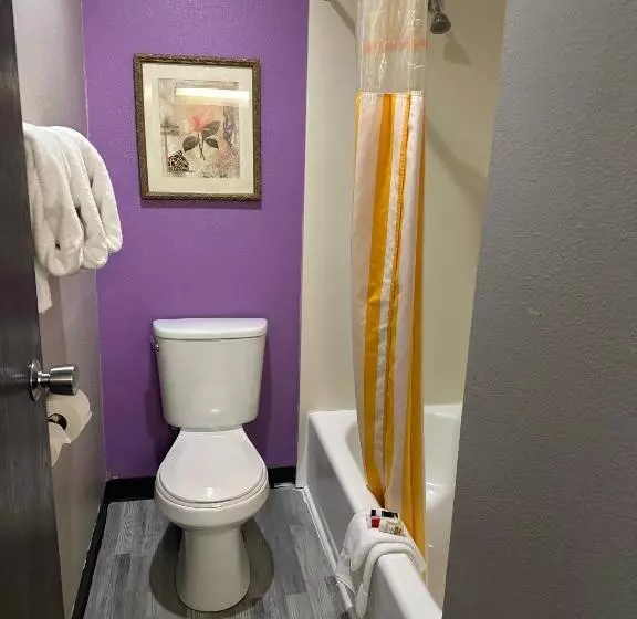 اتاق لوکس با تخت بزرگ, La Quinta Inn By Wyndham Omaha Southwest