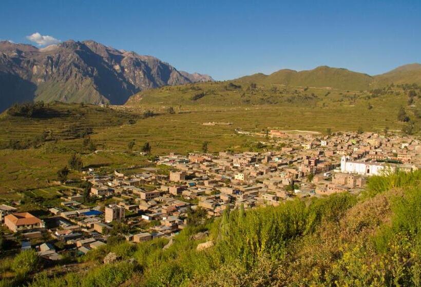 اتاق استاندارد یک نفره, Kuntur Wassi Colca