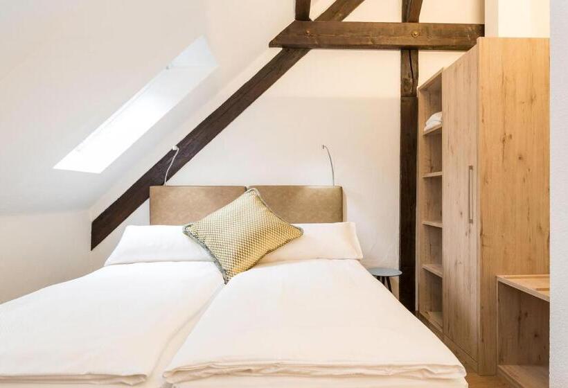 اتاق سوپریور, Platzhirsch Zürich Downtown Boutique Hotel & Sushi Lounge