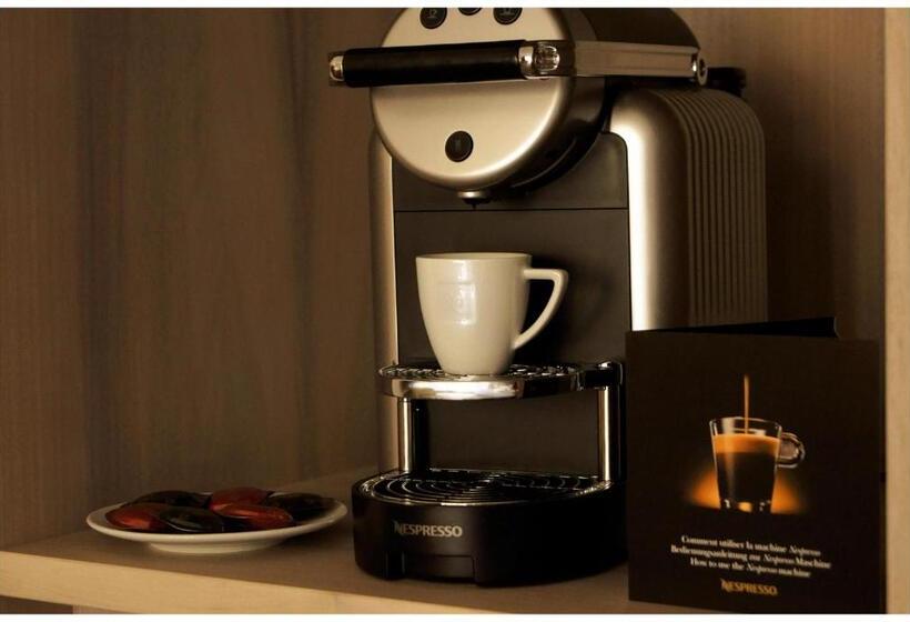 اتاق سوپریور, Platzhirsch Zürich Downtown Boutique Hotel & Sushi Lounge