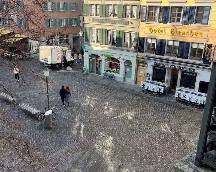 اتاق سوپریور, Platzhirsch Zürich   Downtown Boutique Hotel & Sushi Lounge