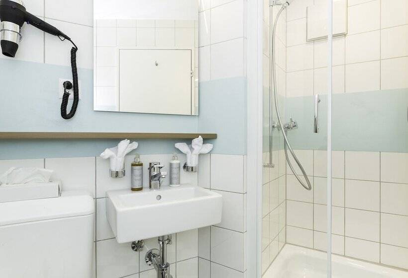 اتاق سوپریور, Platzhirsch Zürich Downtown Boutique Hotel & Sushi Lounge