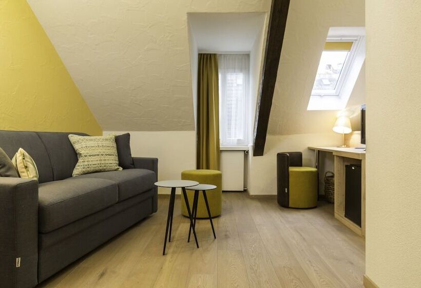 اتاق سوپریور, Platzhirsch Zürich Downtown Boutique Hotel & Sushi Lounge