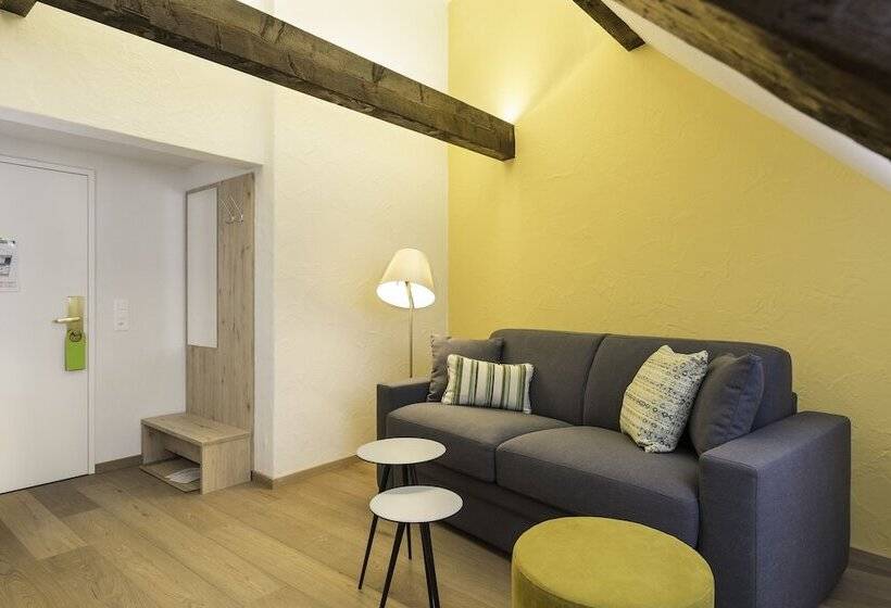 اتاق سوپریور, Platzhirsch Zürich   Downtown Boutique Hotel & Sushi Lounge