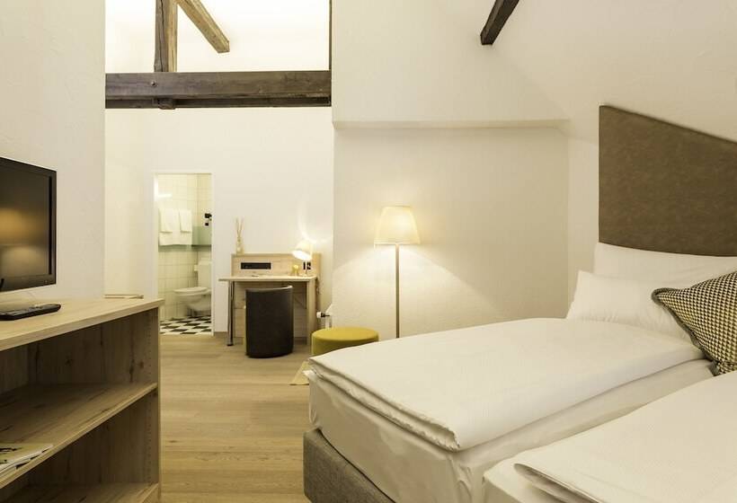 اتاق سوپریور, Platzhirsch Zürich Downtown Boutique Hotel & Sushi Lounge