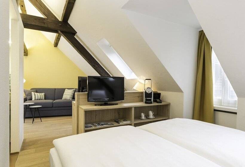 اتاق سوپریور, Platzhirsch Zürich Downtown Boutique Hotel & Sushi Lounge