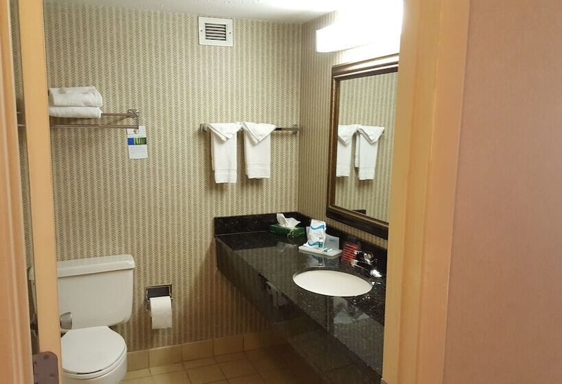 Pokój Standard 2 Łóżka Małżeńskie, Ramada Plaza By Wyndham Atlanta Airport