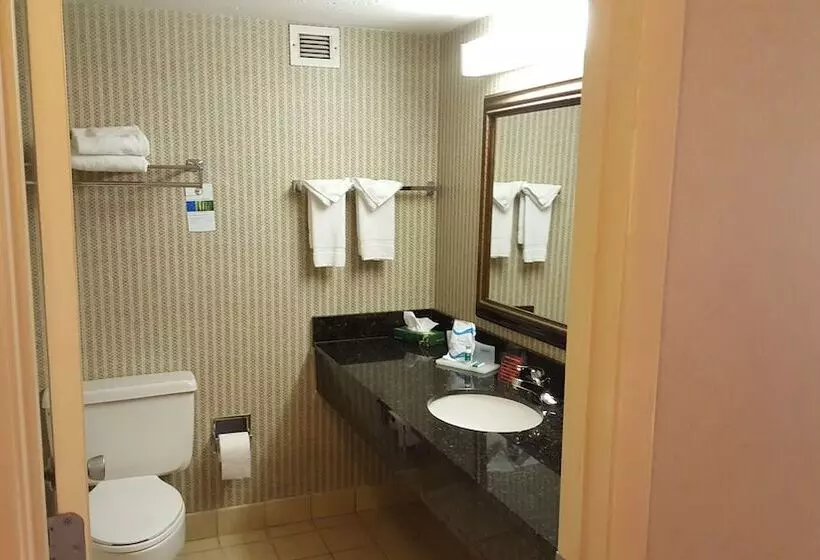 Deluxe-huone, Ramada Plaza By Wyndham Atlanta Airport