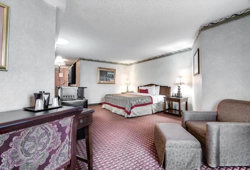 Pokój Standard Łóżko King Size, Ramada Plaza By Wyndham Atlanta Airport