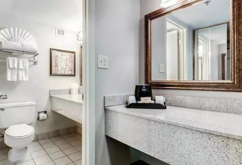 Deluxe-huone King-vuode, Ramada Plaza By Wyndham Atlanta Airport