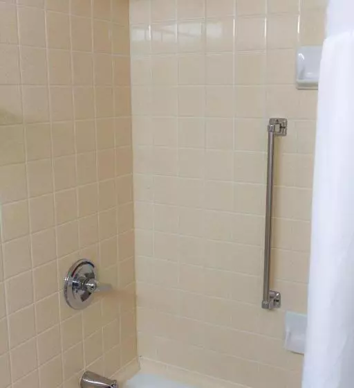 Standard-huone King-vuode, Ramada Plaza By Wyndham Atlanta Airport