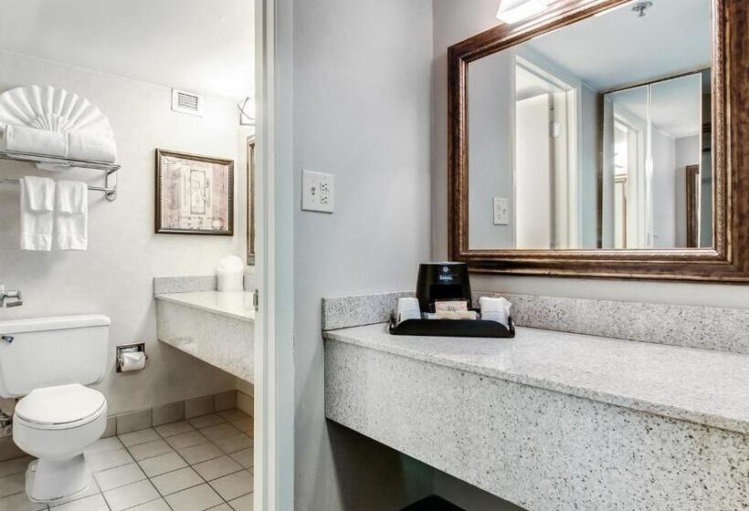 Pokój Deluxe, Ramada Plaza By Wyndham Atlanta Airport