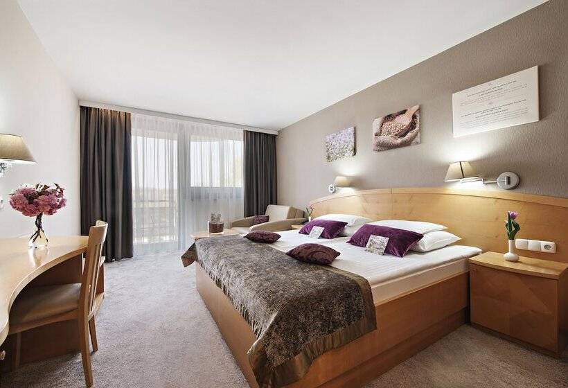 اتاق استاندارد, Ajda Terme 3000 Sava Hotels & Resorts