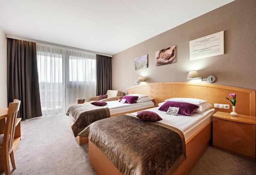 اتاق استاندارد, Ajda Terme 3000 Sava Hotels & Resorts