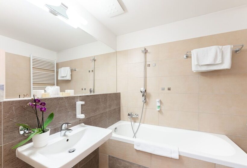 اتاق استاندارد, Antares