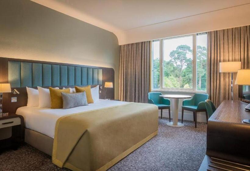 클래식 룸 킹 침대, Fota Island Hotel And Spa