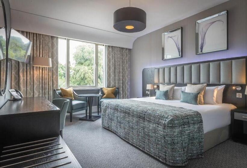 اتاق کلاسیک با تخت دونفره, Fota Island Hotel And Spa