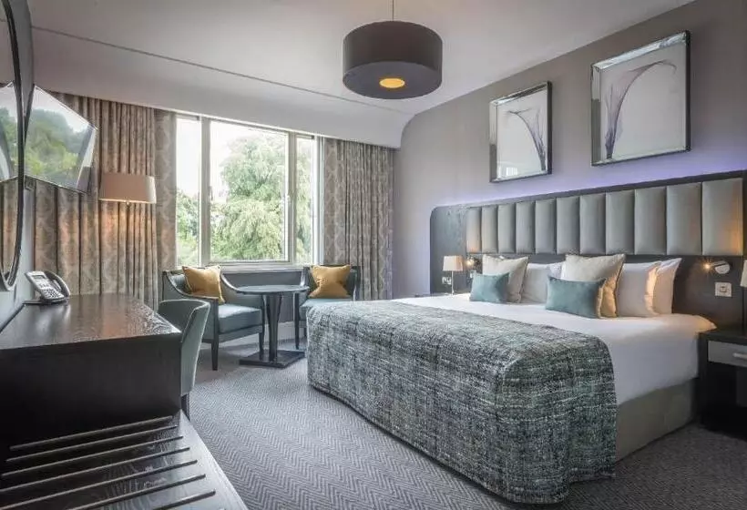 キングサイズベッドのクラシックルーム, Fota Island Hotel And Spa