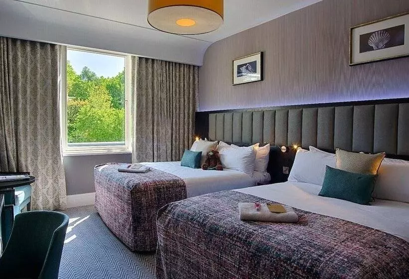 クラシックルーム, Fota Island Hotel And Spa