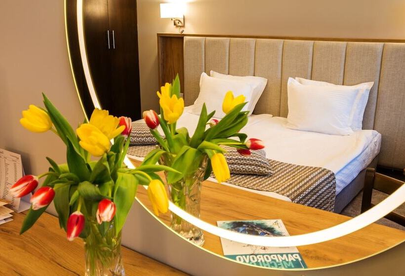 غرفة قياسية مطلة على الجبل, Orlovetz