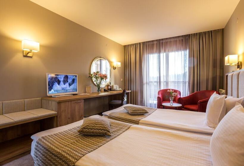 غرفة قياسية مطلة على الجبل, Orlovetz