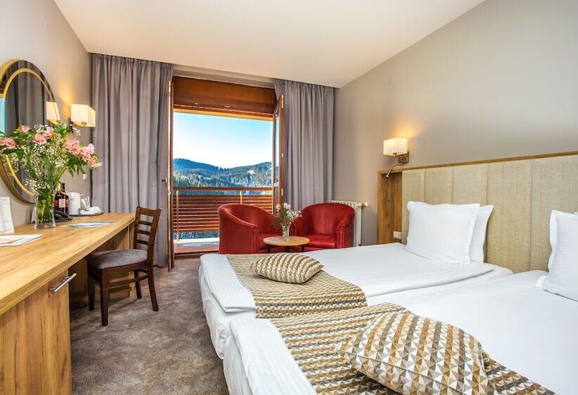 חדר סטנדרט נוף להרים, Orlovetz