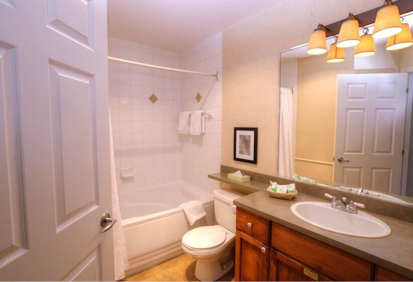 Апартаменты 1 Спальня, Place Saint Bernard Mont Tremblant