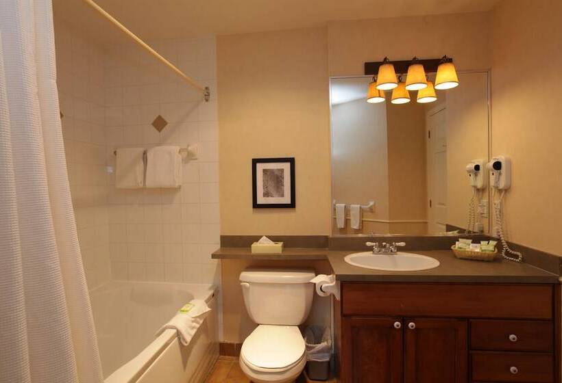 Апартаменты 1 Спальня, Place Saint Bernard Mont Tremblant