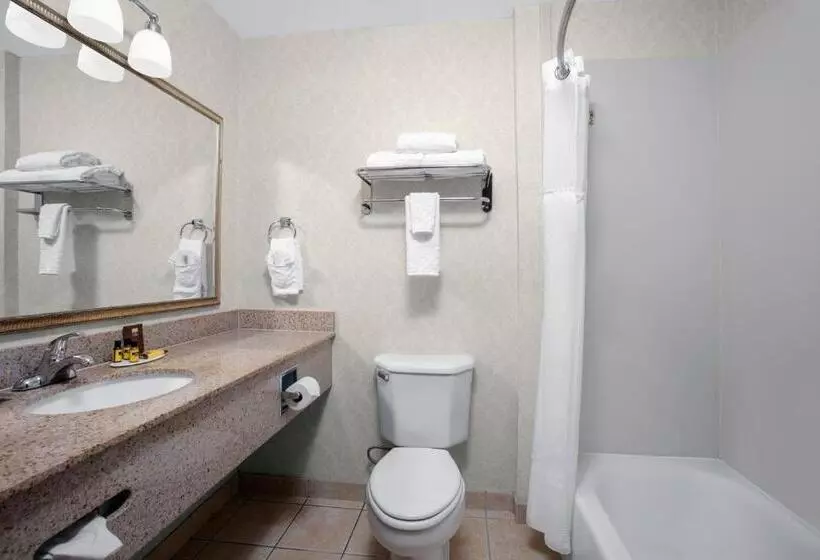 ２ダブルベッドのスタンダードルーム, Best Western Plus Miami Doral/dolphin Mall