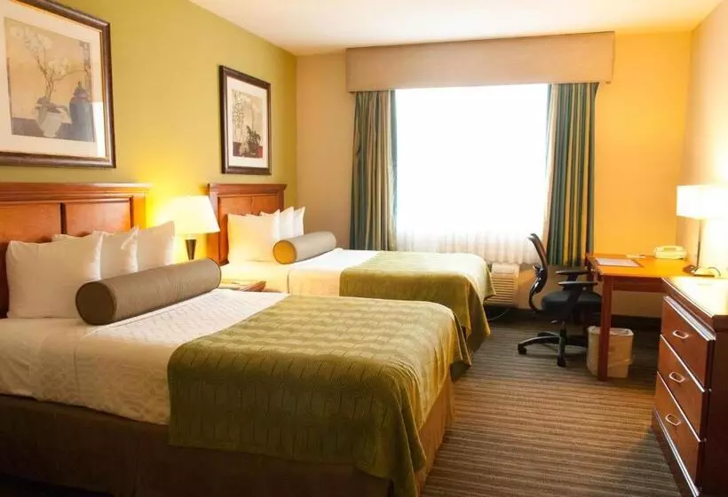 スイート, Best Western Plus Miami Doral/dolphin Mall