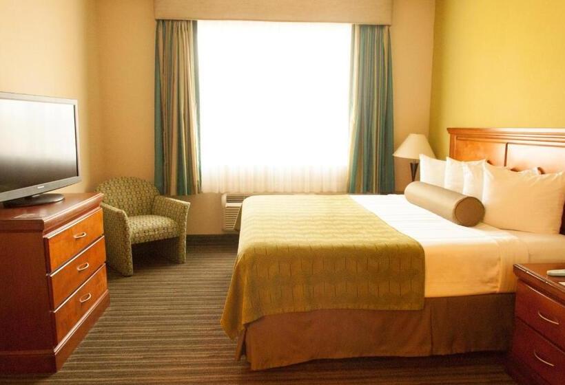 Люкс Кровать Кинг, Best Western Plus Miami Doral/dolphin Mall
