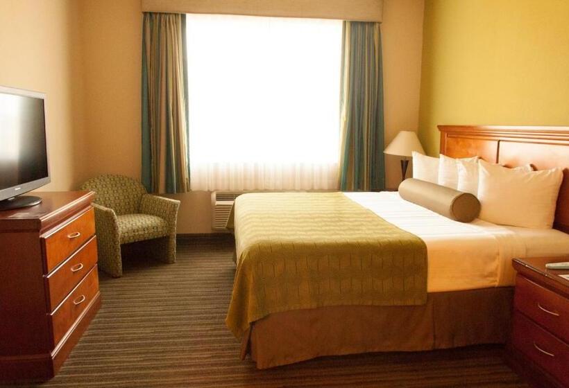 Люкс Кровать Кинг, Best Western Plus Miami Doral/dolphin Mall