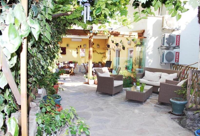 スタンダードルーム, Divas