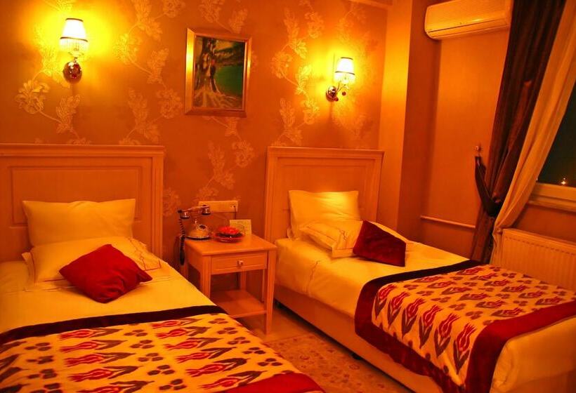 スタンダードルーム, Divas