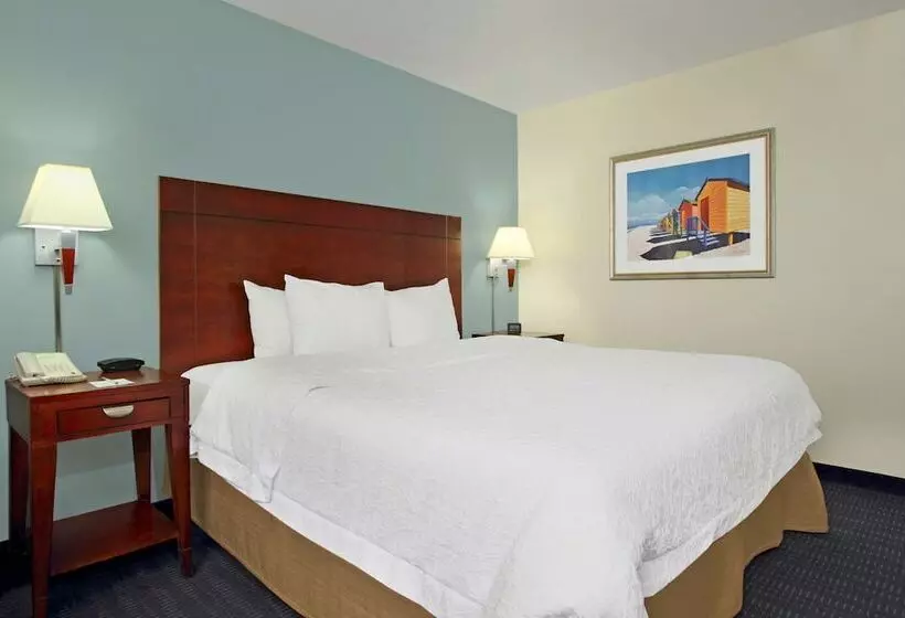 ダブルベッドスタンダードルーム, Hampton Inn Cocoa Beach/cape Canaveral