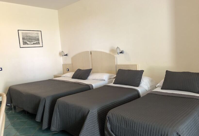 스탠다드 트리플 룸, Agave