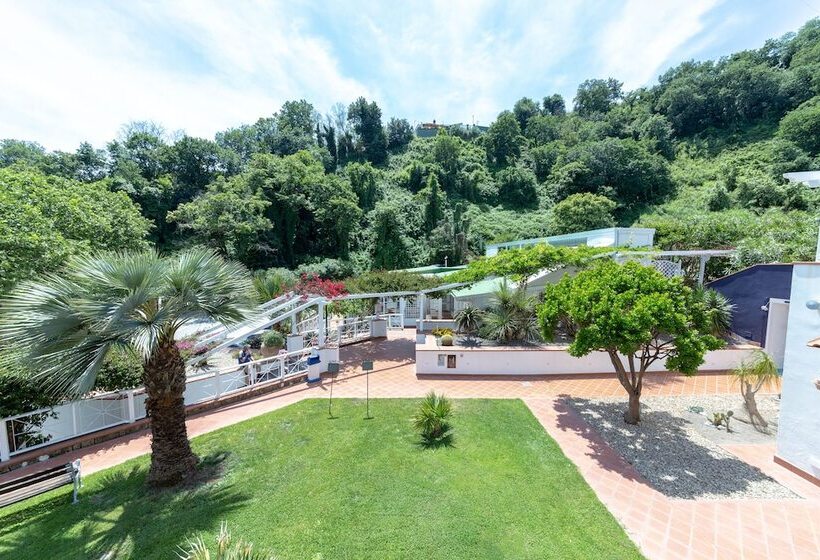 패밀리 룸, Agave