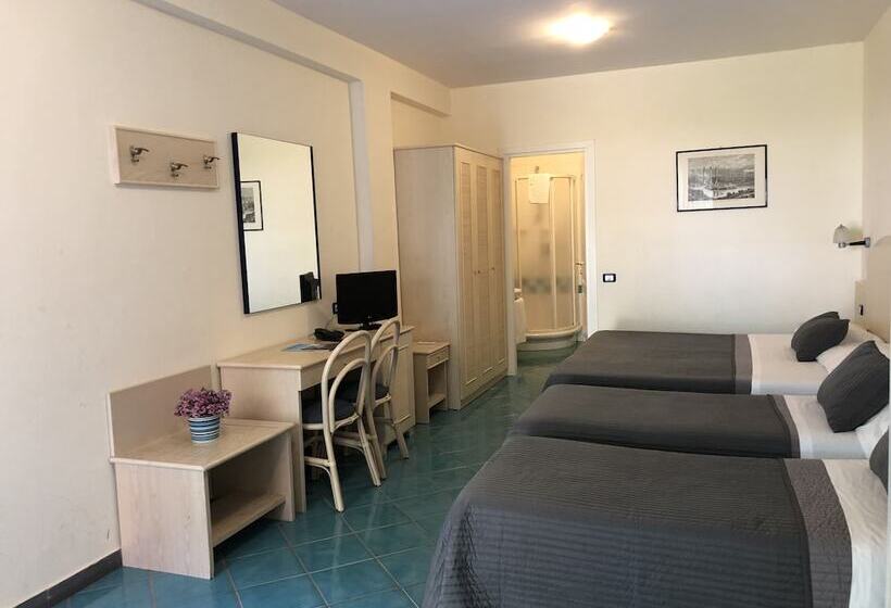 4인용 스탠다드 룸, Agave