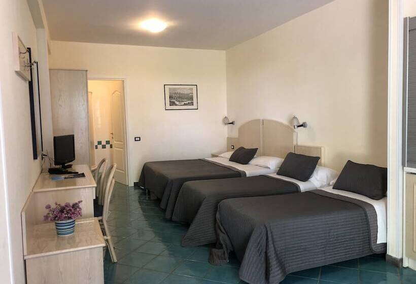 4인용 스탠다드 룸, Agave