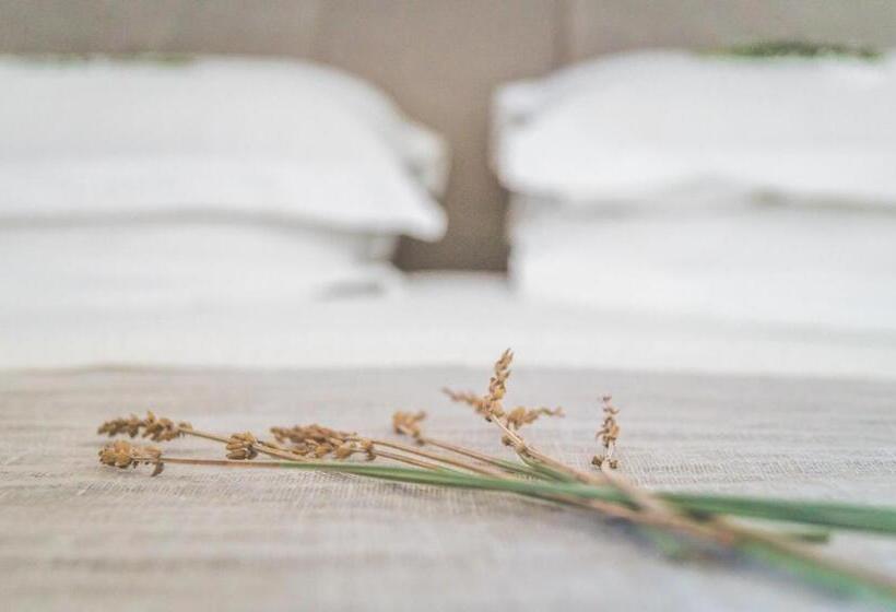 수피리어 룸, Armonia Bay