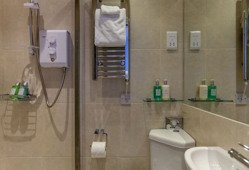 기본룸, Brightonwave