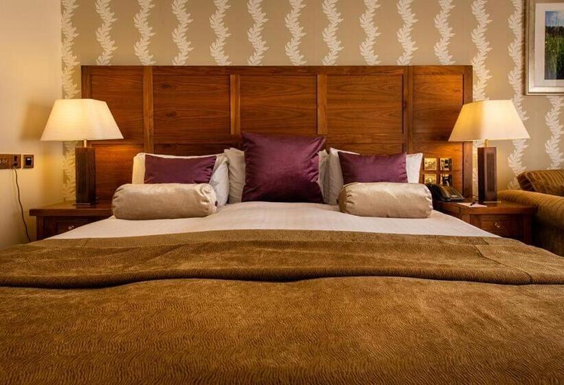 수피리어 룸, Morley Hayes