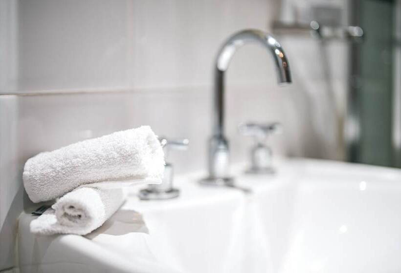 חדר סטודיו סטנדרד, Park Regis Concierge Apartments