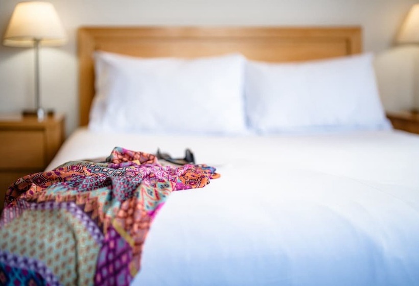 חדר סטודיו סטנדרד, Park Regis Concierge Apartments