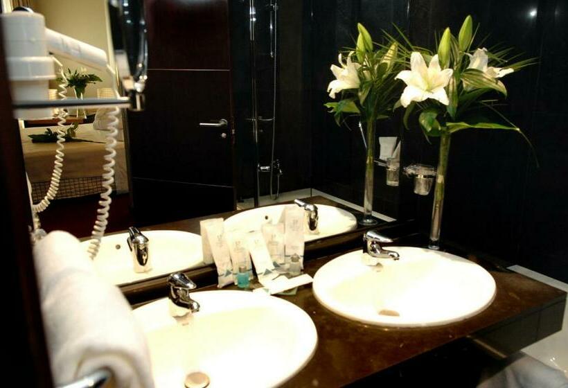 اتاق استاندارد, Sercotel Princesa De Eboli