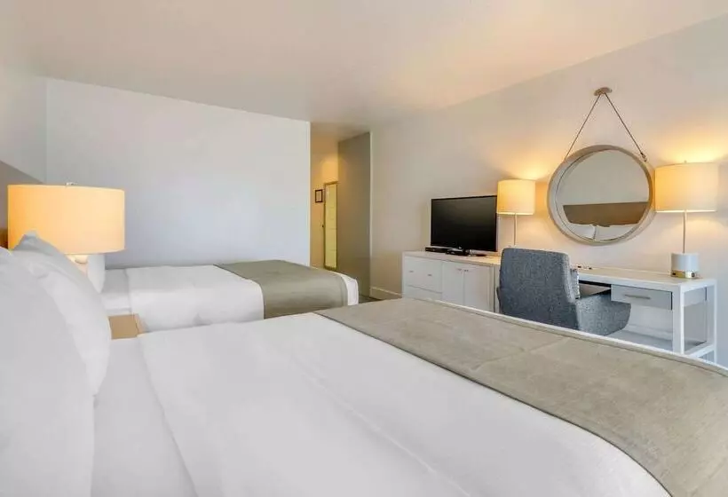 اتاق استاندارد با چشمانداز دریا, Bayside Resort, Ascend Hotel Collection