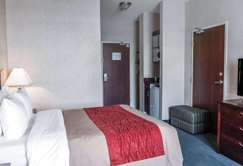 スタンダードルーム, Comfort Inn