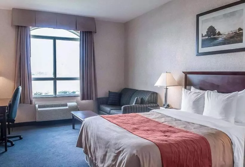 اتاق استاندارد, Comfort Inn