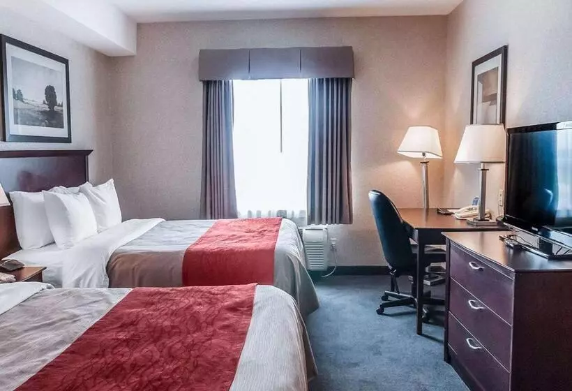 اتاق استاندارد, Comfort Inn